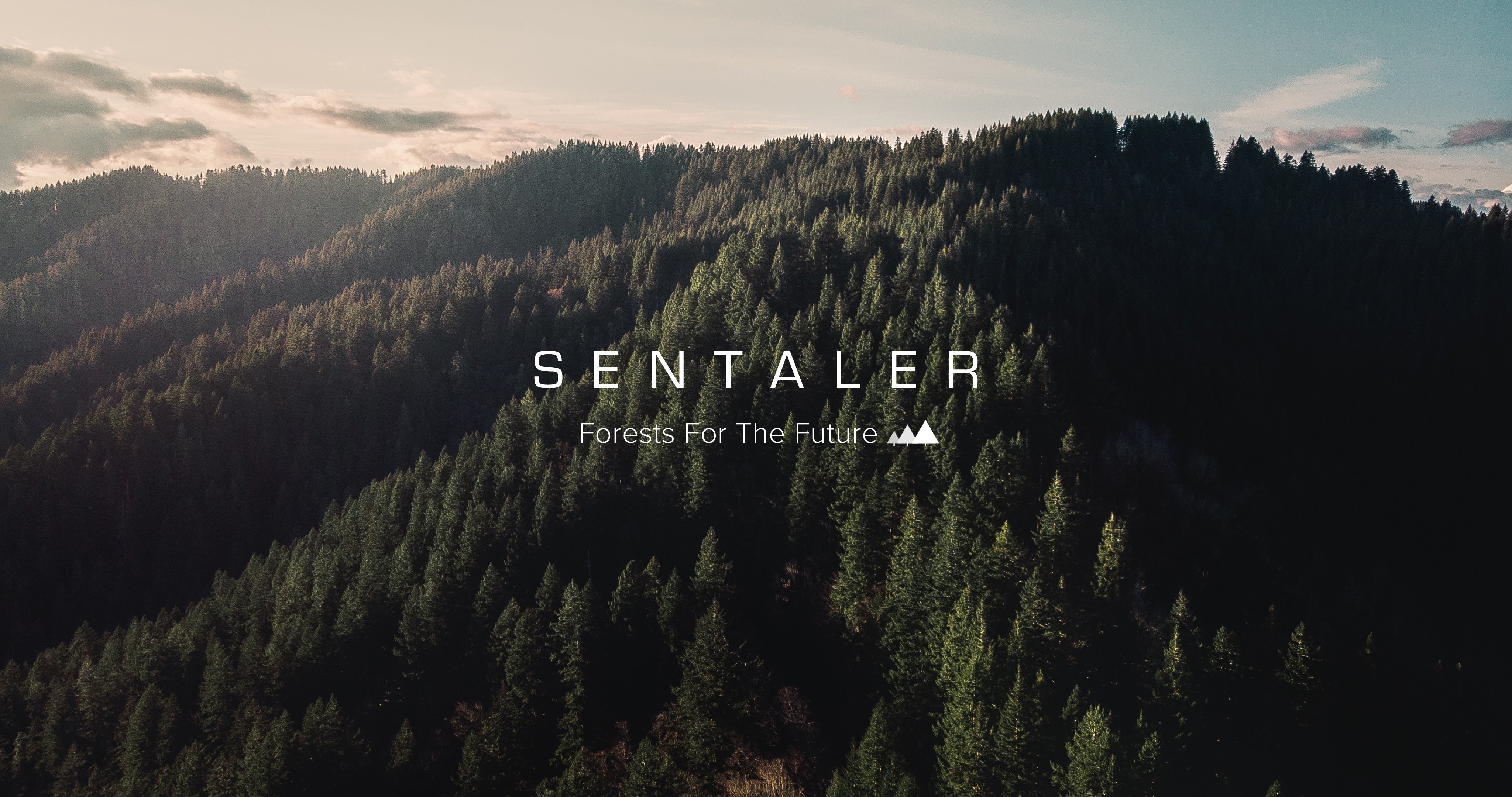 Forests For The Future